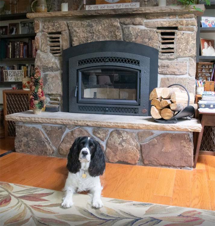dog sitting in front of fireplace 