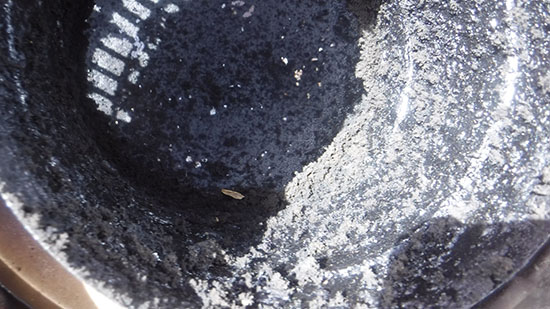 chimney cap cleaning